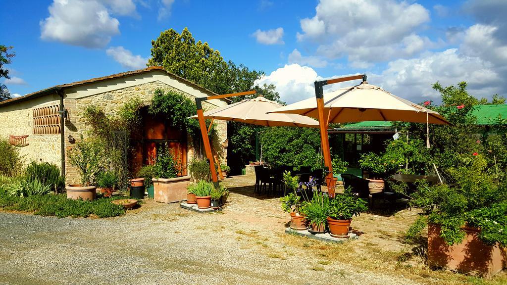 Il Palagione