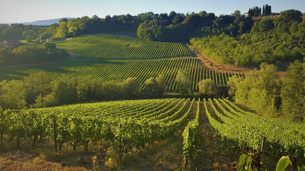 Il Palagione Agroturismo *