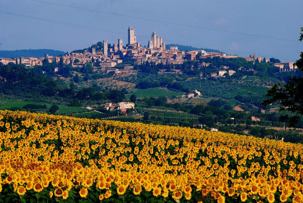 Il Palagione San Gimignano
