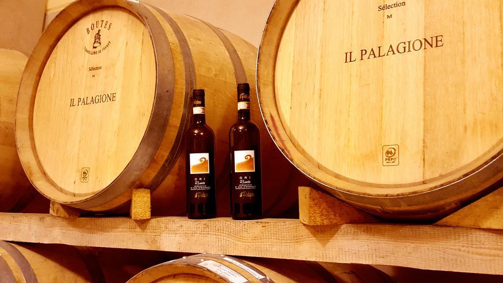 Il Palagione