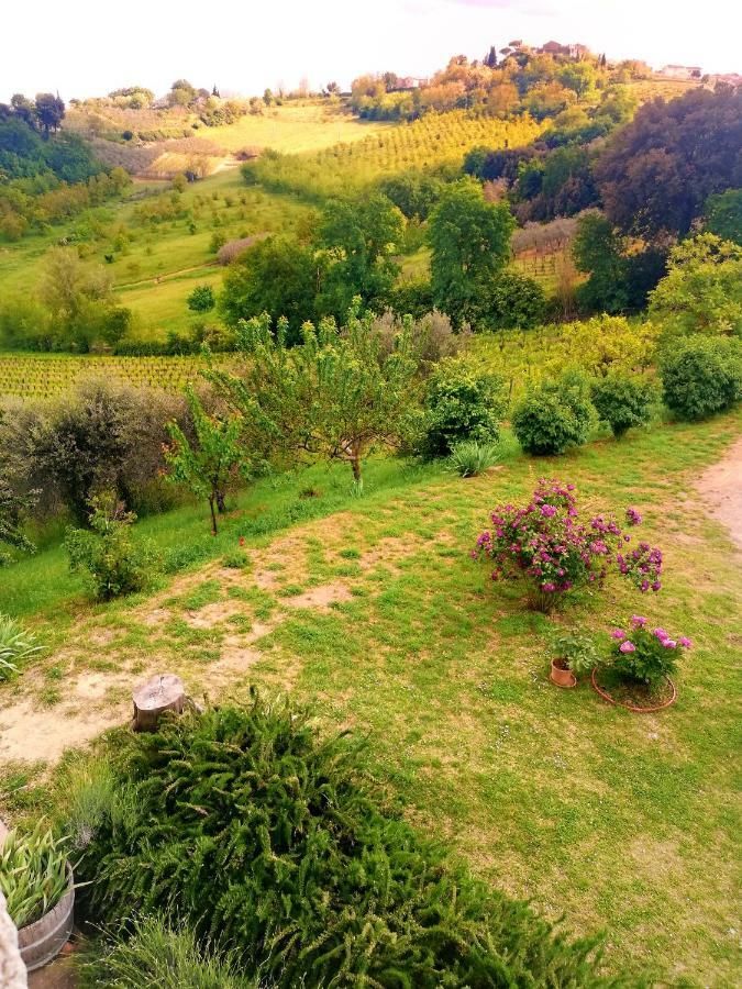 Il Palagione * San Gimignano